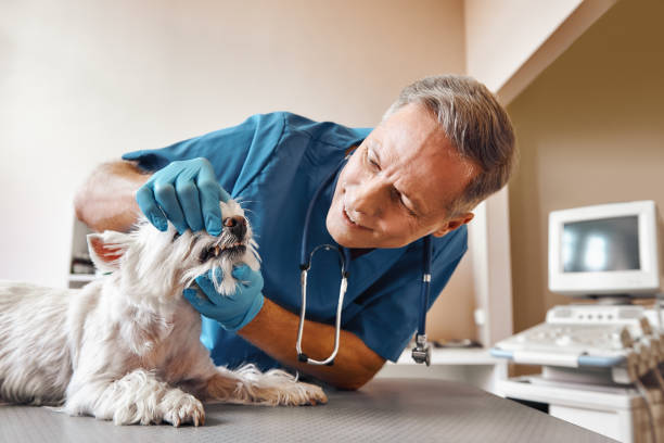 Best Emergency Dental Care for Trauma or Injury in Leesburg, GA